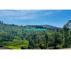 80 acres Farm property for sale near Kotagiri, Kettiambai