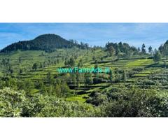 80 acres Farm property for sale near Kotagiri, Kettiambai