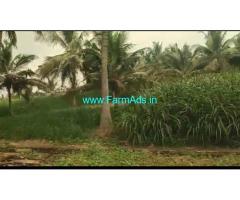 1 acre farm land for sale in Channapatna
