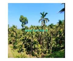 For sale 3.13 acres agriculture land, two 3BHK at Muchur