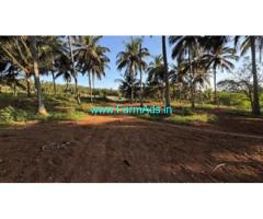 9 acres coconut plantation for sale Near Kottathara