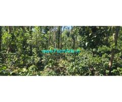 2 acre maintained Arabica plantation sale in Mudigere