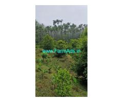 10 acre farm land sale in Attappady
