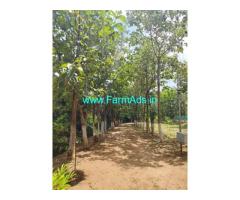 Farmland for sale in Anakatti 4.3 acre