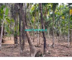 4.62 Acres Agriculture Land For Sale Manjeshwar