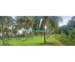 6 Acres coconut garden for sale near Gubbi