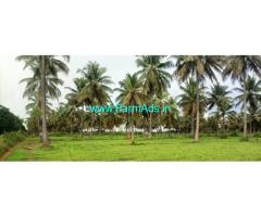 6 Acres coconut garden for sale near Gubbi