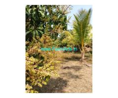 Agriculture property 11 Guntas Urgent Sale near Hospalya