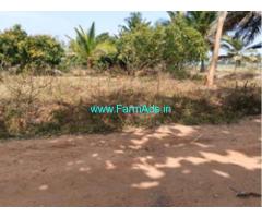 Agriculture property 11 Guntas Urgent Sale near Hospalya