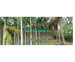 4 Acres High Yielding Areca plantation for sale near Gubbi town