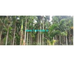4 Acres High Yielding Areca plantation for sale near Gubbi town