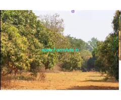 2.5 Acre Mango Farmland Sale in Harohalli