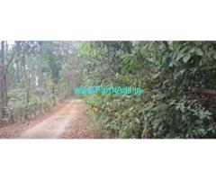 3.5 acres recorded coffee plantation Sale near Chikmagalur