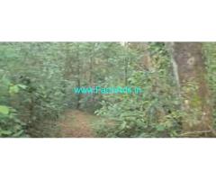 3.5 acres recorded coffee plantation Sale near Chikmagalur