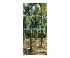 25 acres Agri land sale near Kukke Subramanya