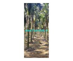 25 acres Agri land sale near Kukke Subramanya