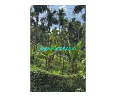 Farmland for sale in Attappadi 3.10 acre