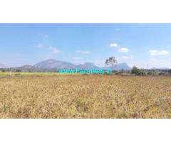 4 Acres Agriculture Land for Sale near Melekote, Nandi Hills