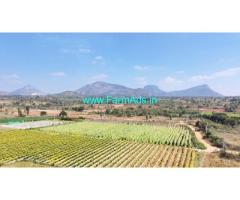 4 Acres Agriculture Land for Sale near Melekote, Nandi Hills