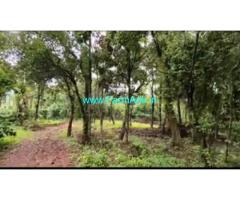 5.5 acre Farm land sale in Mudigere