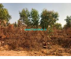 1.31 acres agriculture land sale near Dabaspete