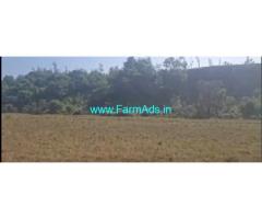 3.5 acre Agri land sale in Mudigere