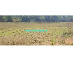 1.32 acre land sale in Mudigere