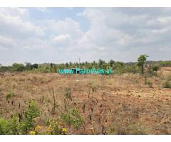 6.5 acre Agriculture land for sale near Mysore