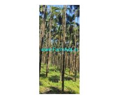 9 acres agricultural land sale near Belthangady