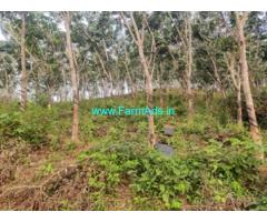 Agri Land for sale 1.90 acre record and 2 acre kumki at Sampige