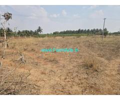 1 acre 13 gunte Agriculture land for sale near Mysore