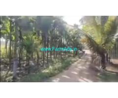 4.05 Acre Agri Farm With Farm House for sale at Sira