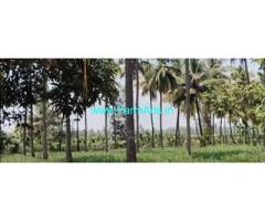 1 Acre land with house for sale in Aadikolli,Pazhashiraja College