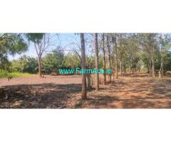 65 Acres Agriculture Land For Sale at S K Kawal Village