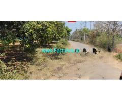 8 Gunta Agriculture Red soil For Sale at Doddamara Gowdanahalli