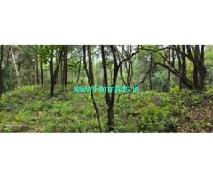 9 acre boundary Agri Land for sale near Mudigere