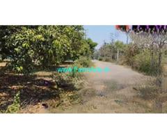 8 Gunta Agri Red soil Land For Sale at Doddamara Gowdanahalli