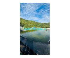 Farmland for sale near Attappadi 5.1 acres