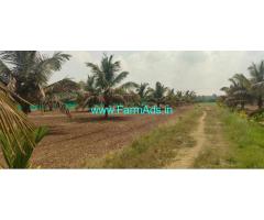 5.20 Acres coconut Agriculture land Sale Near Gundlupet