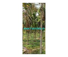 10 acres agriculture land sale near Belthangady