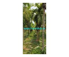10 acres agriculture land sale near Belthangady