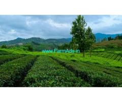 60 Cents extent residential plot 9 km from Dhoddabetta Ooty