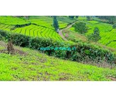 60 Cents extent residential plot 9 km from Dhoddabetta Ooty
