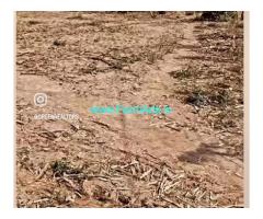 13 Gunta Farm land Sale Near Gundamagere