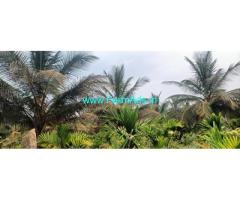 3 Acres developed farmland for sale near Tumkur