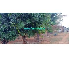 15.7 acres income generating farm for sale Hanur