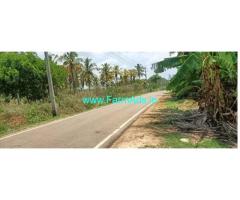 2.7 Acres coconut garden for sale near Gubbi