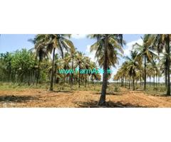 2.7 Acres coconut garden for sale near Gubbi