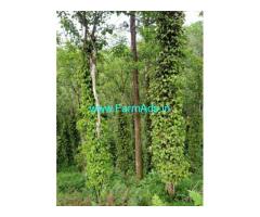 52 Acres Bitherkad Estate for Sale in Gudalur