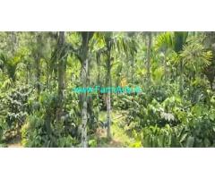 4.06 acre well maintained Robusta,pepper plantation sale in Mudigere